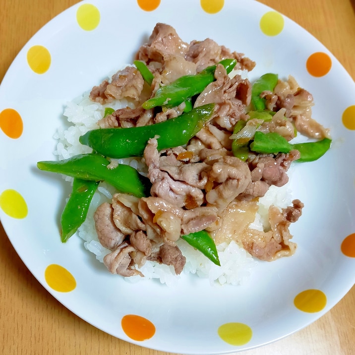 インゲン豆と豚肉の丼